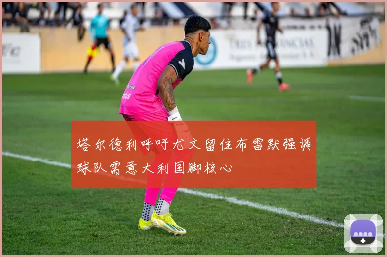 塔尔德利呼吁尤文留住布雷默强调球队需意大利国脚核心