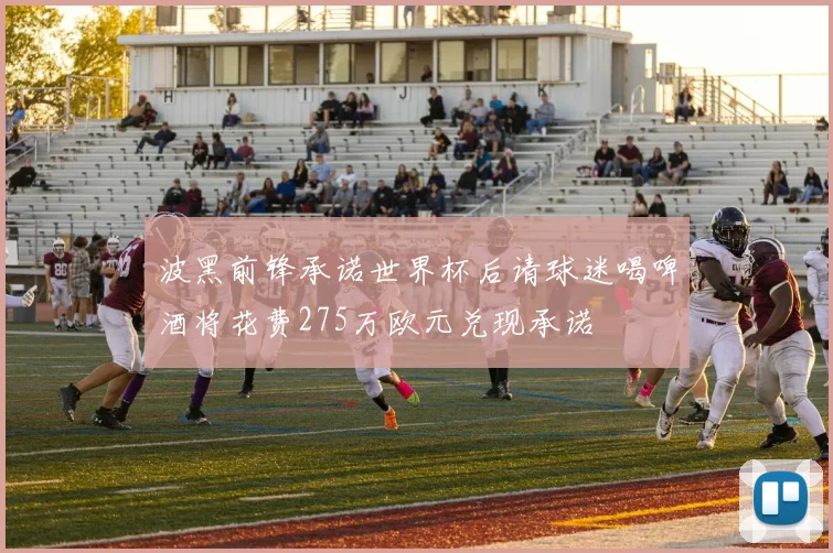 波黑前锋承诺世界杯后请球迷喝啤酒将花费275万欧元兑现承诺
